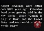 Standbild Baumwolle Landwirtschaft Experiment stations Southern United States USA, 1922, aus Sekunde 40 historischem Filmmaterial Videoclip 65675036516