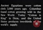 Standbild Baumwolle Landwirtschaft Experiment stations Southern United States USA, 1922, aus Sekunde 42 historischem Filmmaterial Videoclip 65675036516