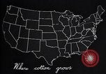 Standbild Baumwolle Landwirtschaft Experiment stations Southern United States USA, 1922, aus Sekunde 49 historischem Filmmaterial Videoclip 65675036516