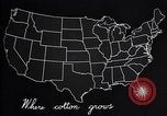 Standbild Baumwolle Landwirtschaft Experiment stations Southern United States USA, 1922, aus Sekunde 50 historischem Filmmaterial Videoclip 65675036516