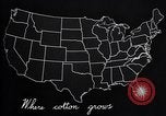 Standbild Baumwolle Landwirtschaft Experiment stations Southern United States USA, 1922, aus Sekunde 51 historischem Filmmaterial Videoclip 65675036516