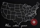 Standbild Baumwolle Landwirtschaft Experiment stations Southern United States USA, 1922, aus Sekunde 52 historischem Filmmaterial Videoclip 65675036516