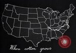 Standbild Baumwolle Landwirtschaft Experiment stations Southern United States USA, 1922, aus Sekunde 53 historischem Filmmaterial Videoclip 65675036516