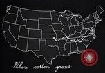 Standbild Baumwolle Landwirtschaft Experiment stations Southern United States USA, 1922, aus Sekunde 54 historischem Filmmaterial Videoclip 65675036516