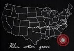 Standbild Baumwolle Landwirtschaft Experiment stations Southern United States USA, 1922, aus Sekunde 55 historischem Filmmaterial Videoclip 65675036516