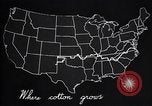 Standbild Baumwolle Landwirtschaft Experiment stations Southern United States USA, 1922, aus Sekunde 56 historischem Filmmaterial Videoclip 65675036516