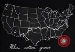 Standbild Baumwolle Landwirtschaft Experiment stations Southern United States USA, 1922, aus Sekunde 59 historischem Filmmaterial Videoclip 65675036516