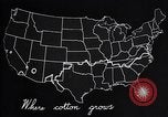 Standbild Baumwolle Landwirtschaft Experiment stations Southern United States USA, 1922, aus Sekunde 60 historischem Filmmaterial Videoclip 65675036516
