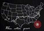 Standbild Baumwolle Landwirtschaft Experiment stations Southern United States USA, 1922, aus Sekunde 61 historischem Filmmaterial Videoclip 65675036516