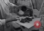 Image of Berlin shops during Berlin Airlift Berlin Germany, 1949, second 47 stock footage video 65675036529