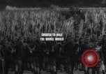 Image of Militaristic Japan in past wars Japan, 1946, second 12 stock footage video 65675036534