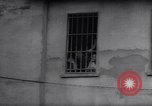 Image of Role of American occupation forces in Japan Japan, 1946, second 13 stock footage video 65675036535