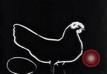 Image of Tivoli Gardens  Copenhagen Denmark, 1936, second 59 stock footage video 65675036543