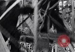 Image of Dyrehavsbakken amusement park Copenhagen Denmark, 1936, second 21 stock footage video 65675036545