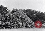 Image of Dyrehavsbakken amusement park Copenhagen Denmark, 1936, second 36 stock footage video 65675036545