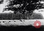 Image of Danish castles Copenhagen Denmark, 1936, second 7 stock footage video 65675036546