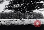 Image of Danish castles Copenhagen Denmark, 1936, second 8 stock footage video 65675036546