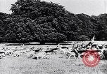 Image of Danish castles Copenhagen Denmark, 1936, second 9 stock footage video 65675036546