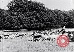 Image of Danish castles Copenhagen Denmark, 1936, second 10 stock footage video 65675036546