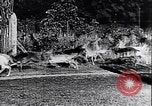 Image of Danish castles Copenhagen Denmark, 1936, second 12 stock footage video 65675036546
