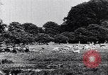 Image of Danish castles Copenhagen Denmark, 1936, second 14 stock footage video 65675036546