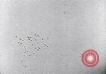 Image of invasion by Nazi Germany Copenhagen Denmark, 1943, second 41 stock footage video 65675036548