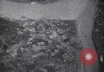 Image Bombardiers Mitsubishi Ki-21 Chungking Chine, 1941, de la seconde 12 séquences d'archives historiques vidéo 65675036556