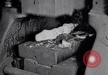 Image of Studebaker crankshaft manufacturing South Bend Indiana USA, 1925, second 32 stock footage video 65675036569