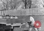 Image of General Motors Truck delivering Milk St Louis Missouri USA, 1923, second 31 stock footage video 65675036583