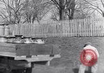 Image of General Motors Truck delivering Milk St Louis Missouri USA, 1923, second 36 stock footage video 65675036583