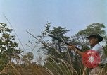 Immagine di Principali Dale E Wyckoff Udorn Thailandia, 1963, secondo 39 filmato di repertorio 65675036597