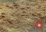Image of Major Dale E Wyckoff Udorn Thailand, 1963, second 60 stock footage video 65675036600