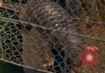 Image of Major Dale E Wyckoff Udorn Thailand, 1963, second 4 stock footage video 65675036602