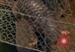 Image of Major Dale E Wyckoff Udorn Thailand, 1963, second 5 stock footage video 65675036602