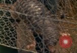 Image of Major Dale E Wyckoff Udorn Thailand, 1963, second 6 stock footage video 65675036602