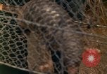 Image of Major Dale E Wyckoff Udorn Thailand, 1963, second 7 stock footage video 65675036602