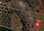 Image of Major Dale E Wyckoff Udorn Thailand, 1963, second 8 stock footage video 65675036602