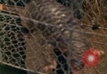 Image of Major Dale E Wyckoff Udorn Thailand, 1963, second 9 stock footage video 65675036602