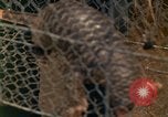 Image of Major Dale E Wyckoff Udorn Thailand, 1963, second 10 stock footage video 65675036602