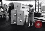 Immagine di Anti-ribelli comunisti Ungheria, 1956, secondo 54 filmato di repertorio 65675036649
