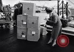 Immagine di Anti-ribelli comunisti Ungheria, 1956, secondo 56 filmato di repertorio 65675036649