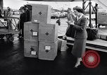Immagine di Anti-ribelli comunisti Ungheria, 1956, secondo 57 filmato di repertorio 65675036649