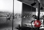 Image of experimental modernistic house San Francisco California USA, 1956, second 25 stock footage video 65675036651