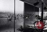 Image of experimental modernistic house San Francisco California USA, 1956, second 28 stock footage video 65675036651
