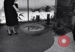 Image of experimental modernistic house San Francisco California USA, 1956, second 31 stock footage video 65675036651