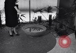 Image of experimental modernistic house San Francisco California USA, 1956, second 32 stock footage video 65675036651