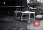 Image of Hungary attains freedom Budapest Hungary, 1956, second 45 stock footage video 65675036657