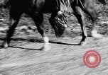Immagine di Texas Rangers Texas United States USA, 1956, secondo 8 filmato di repertorio 65675036659
