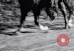 Immagine di Texas Rangers Texas United States USA, 1956, secondo 9 filmato di repertorio 65675036659