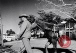 Immagine di Texas Rangers Texas United States USA, 1956, secondo 27 filmato di repertorio 65675036659